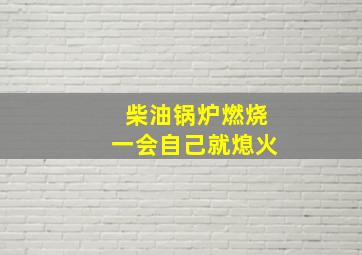 柴油锅炉燃烧一会自己就熄火