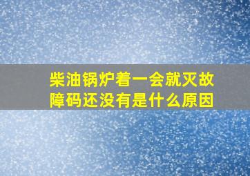 柴油锅炉着一会就灭故障码还没有是什么原因