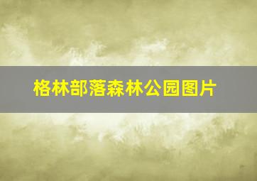 格林部落森林公园图片