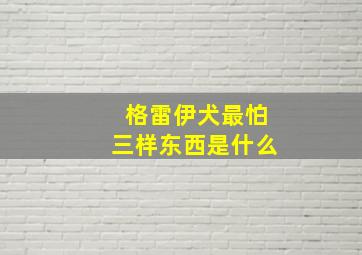 格雷伊犬最怕三样东西是什么