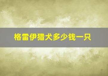 格雷伊猎犬多少钱一只