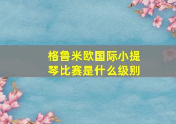 格鲁米欧国际小提琴比赛是什么级别