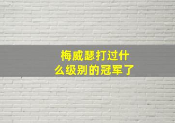 梅威瑟打过什么级别的冠军了