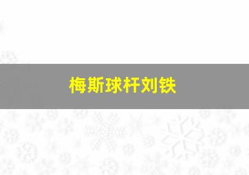 梅斯球杆刘铁