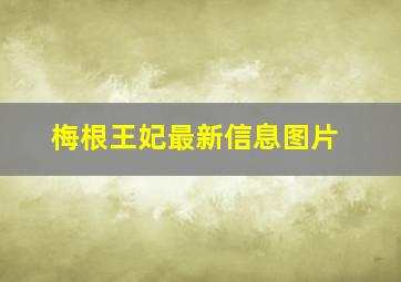 梅根王妃最新信息图片