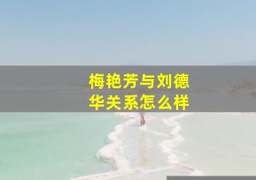 梅艳芳与刘德华关系怎么样