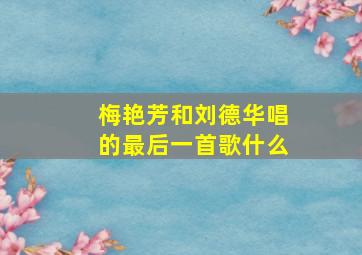 梅艳芳和刘德华唱的最后一首歌什么