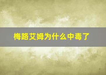 梅路艾姆为什么中毒了