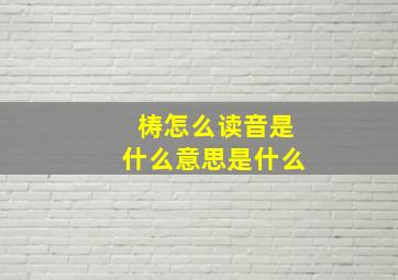 梼怎么读音是什么意思是什么