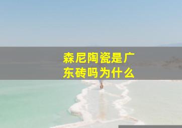 森尼陶瓷是广东砖吗为什么