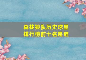 森林狼队历史球星排行榜前十名是谁