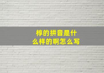 椁的拼音是什么样的啊怎么写