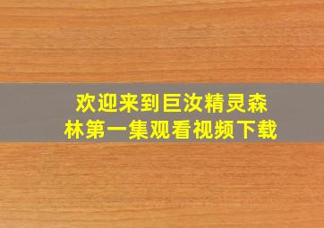 欢迎来到巨汝精灵森林第一集观看视频下载