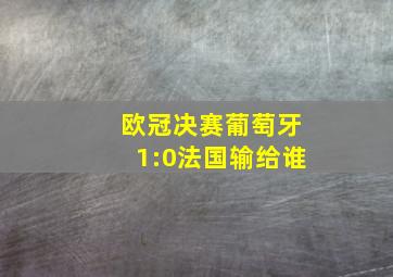 欧冠决赛葡萄牙1:0法国输给谁