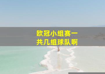 欧冠小组赛一共几组球队啊