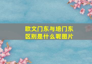 欧文门东与培门东区别是什么呢图片