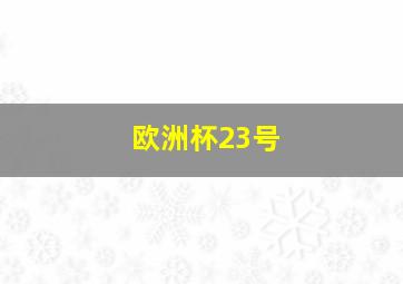 欧洲杯23号