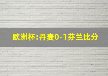 欧洲杯:丹麦0-1芬兰比分