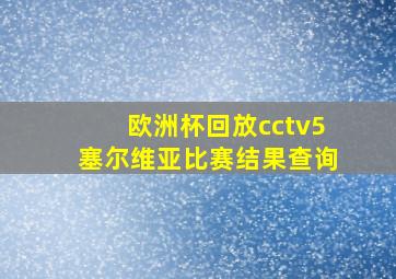 欧洲杯回放cctv5塞尔维亚比赛结果查询