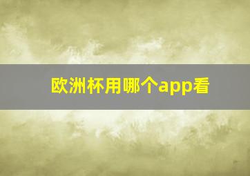 欧洲杯用哪个app看