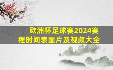 欧洲杯足球赛2024赛程时间表图片及视频大全