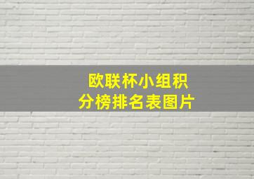 欧联杯小组积分榜排名表图片