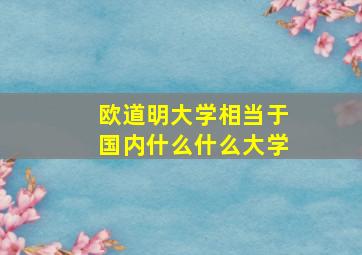 欧道明大学相当于国内什么什么大学