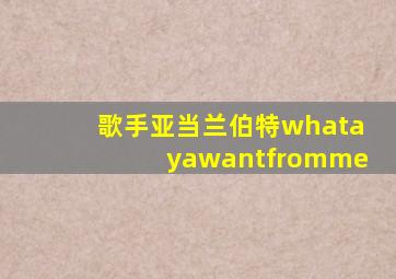 歌手亚当兰伯特whatayawantfromme