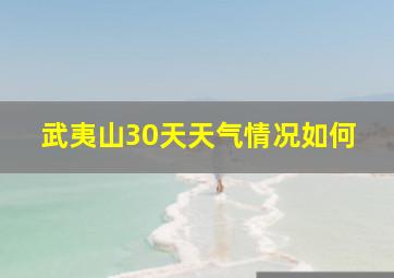 武夷山30天天气情况如何