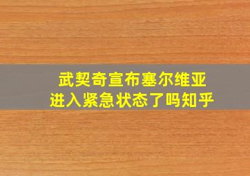 武契奇宣布塞尔维亚进入紧急状态了吗知乎