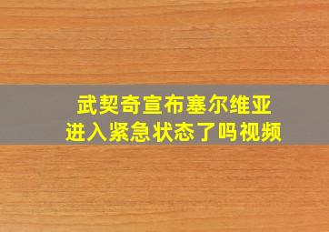 武契奇宣布塞尔维亚进入紧急状态了吗视频