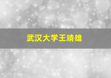 武汉大学王靖雄