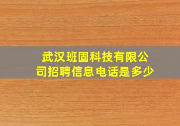 武汉班固科技有限公司招聘信息电话是多少