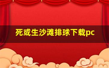 死或生沙滩排球下载pc