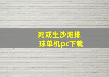 死或生沙滩排球单机pc下载