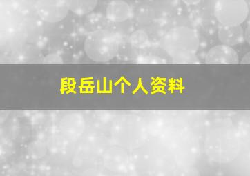 段岳山个人资料