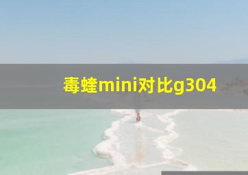 毒蝰mini对比g304