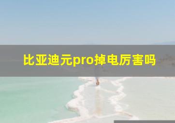 比亚迪元pro掉电厉害吗