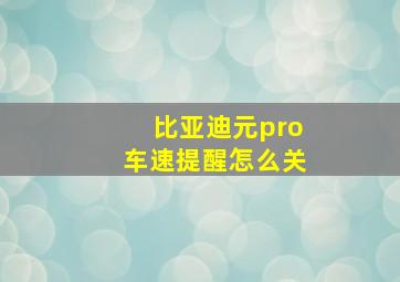 比亚迪元pro车速提醒怎么关