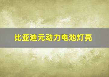 比亚迪元动力电池灯亮