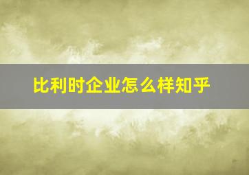 比利时企业怎么样知乎