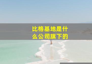 比格基地是什么公司旗下的