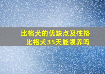 比格犬的优缺点及性格比格犬35天能领养吗