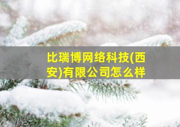 比瑞博网络科技(西安)有限公司怎么样