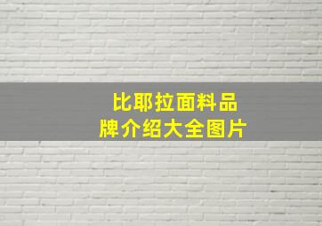 比耶拉面料品牌介绍大全图片