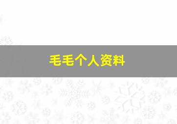 毛毛个人资料