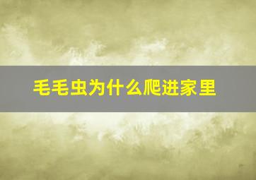 毛毛虫为什么爬进家里