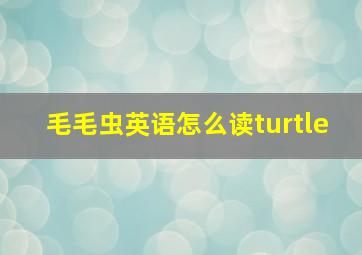 毛毛虫英语怎么读turtle