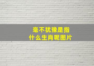 毫不犹豫是指什么生肖呢图片