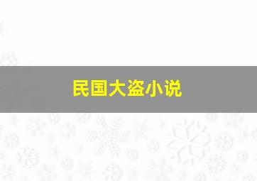 民国大盗小说